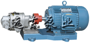 齒(chǐ)輪油泵(beng)