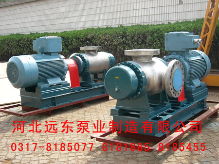 雙螺(luo)杆泵