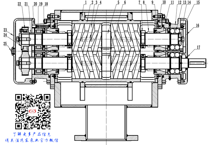 雙螺(luo)杆泵結(jie)構圖