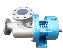 Wkse快(kuài)速清洗(xǐ)雙螺杆(gǎn)泵